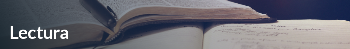 Banner lectura